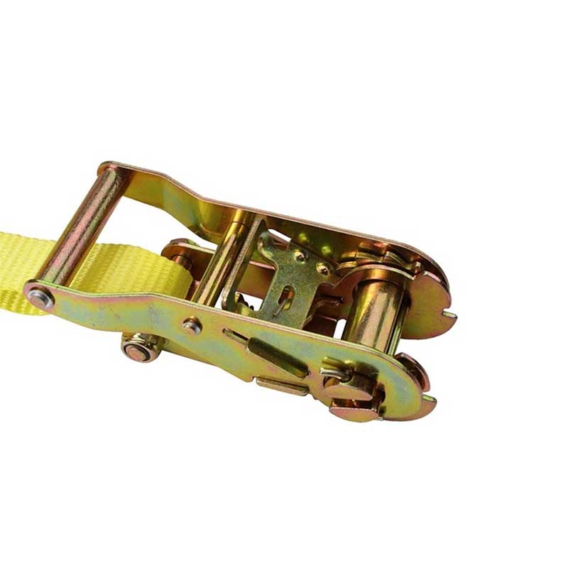 Fabriksanpassning 1'' X 15' Truck Cargo Surrningsbälte med S-krok
