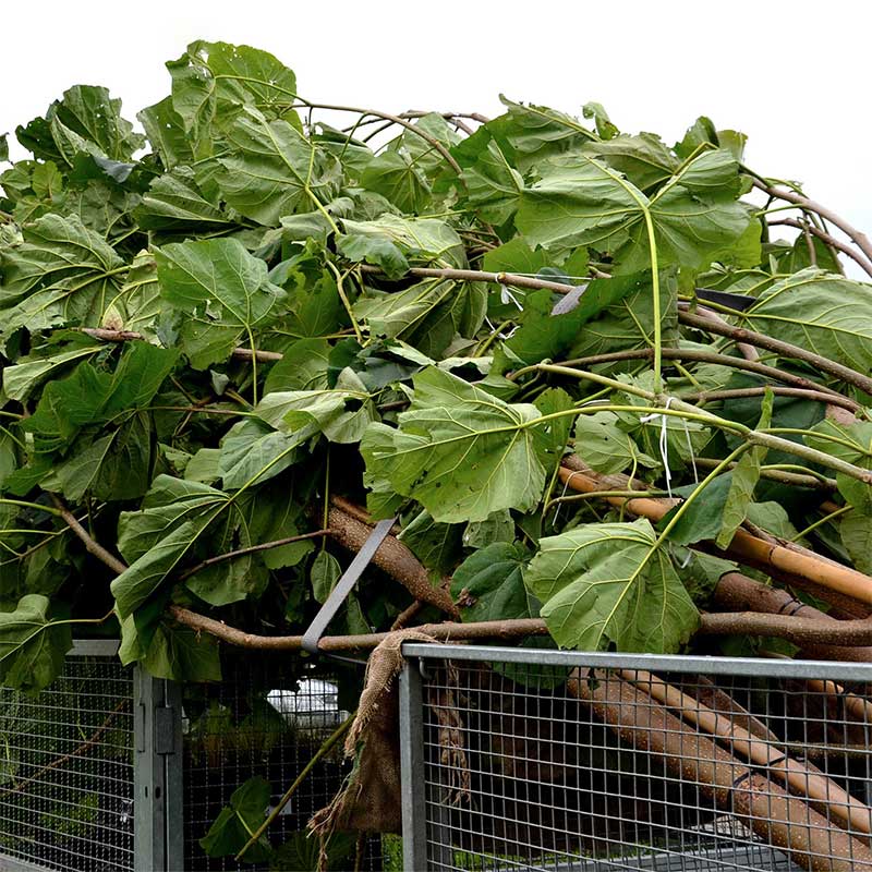1'' X 15' gummibelagt handtag spärrrem med vinylbelagda trådkrokar